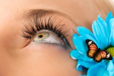 Eyelashes-with-blue-daisy Eyelash Extension Gallery