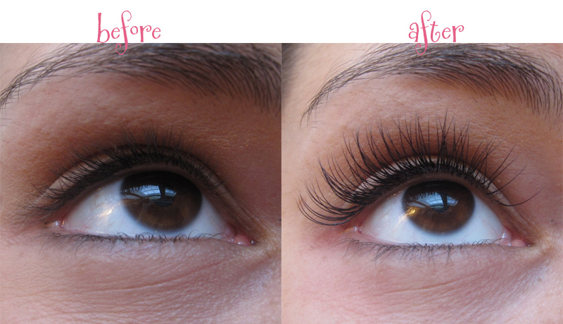 Eyelash Extensions Butterfly Kisses Lashes Gallery