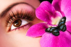 eyelash-extension-services1 Eyelash Extensions Houston, Texas